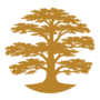 Logo Festival Bien-Être de Pontourny